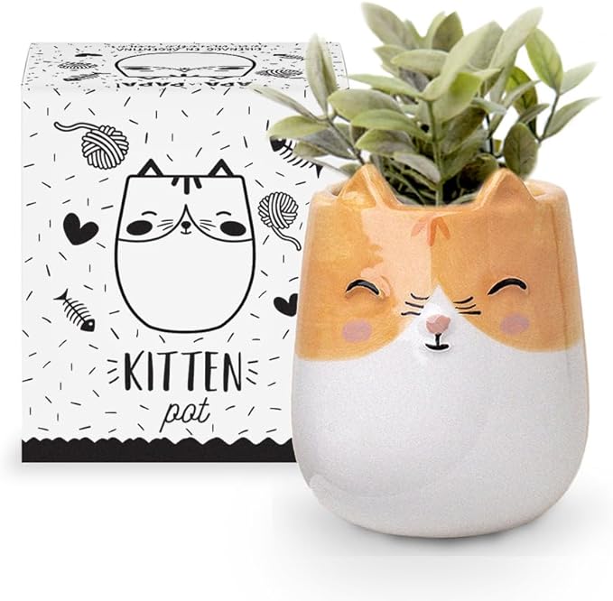 Kitten Animal Ceramic Planter for Indoor and Outdoors, 3 x 3 x 4 in., Cute Hand Painted Designed in Argentina, Convenient Drain Hole