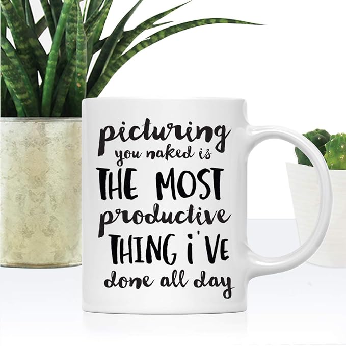 Andaz Press Valentine’s Day Funny 11oz. His Her Couples Coffee Mug Gift, Picturing You Naked is The Most Productive Thing I've Done All Day, 1-Pack, Gift Box