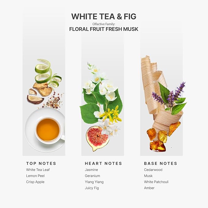 Aromaplan Hotel Scents White Tea & Fig 5 Fl Oz (148ml), Home Luxury Aroma & Hotel Fragrance Diffuser Oil- Hotel Diffuser Oil for Aromatherapy- USA Made, Bigger Bottle, Bolder Aroma & Longer Lasting