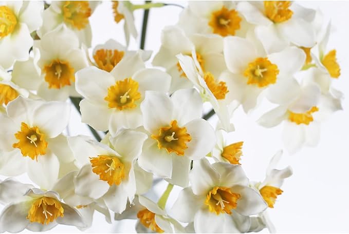 Tinsow Artificial Daffodil Flowers 15.8 Inches Narcissus Spring Flower Fake Silk Flower Arrangement for Home Wedding Decor (White, 12)