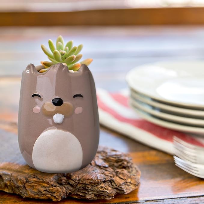 Beaver Animal Ceramic Planter for Indoor and Outdoors, 3 x 3 x 4 in., Cute Hand Painted Designed in Argentina, Convenient Drain Hole