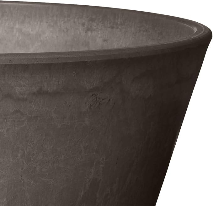 PSW Pot TD25DC Collection Shallow Bulb Pan Planter for Succulents, Bonsai, Fairy Gardens, Herbs, 10-inch, Dark Charcoal