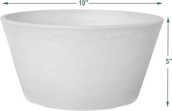 PSW Pot TD25TP Collection Shallow Bulb Pan Planter for Succulents, Bonsai, Fairy Gardens, Herbs, 10-inch, Taupe