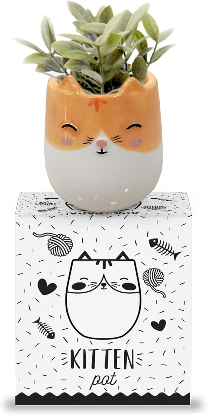 Kitten Animal Ceramic Planter for Indoor and Outdoors, 3 x 3 x 4 in., Cute Hand Painted Designed in Argentina, Convenient Drain Hole