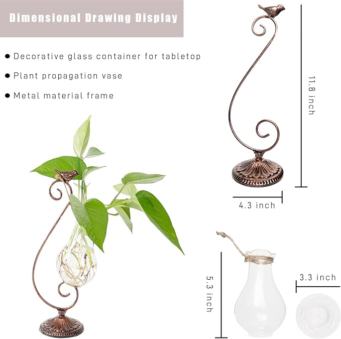 Propagated Plant Vase, Glass Planters for Indoor Plants, with Metal Frame Vintage Pattern Iron Cast Bird, Gifts for Plant Lovers, for Indoor Desktop, Office, Home Decor