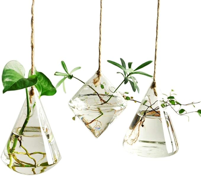 Glass Propagation Station Wall Hanging Glass Planters Wall Flower Vases Glass Terrariums Glass Plant Hanger Wall Vases 3 Pieces Indoor Hydroponic Decor
