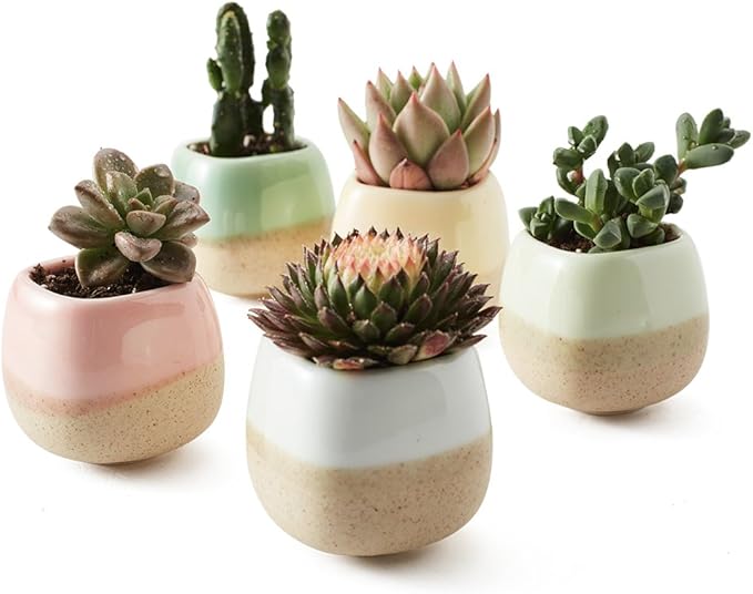 SUN-E 5 in Set 2.2 Inch Container Planter Ceramic Flowing Glaze Five Color Base Serial Set Succulent Plant Pot Cactus Plant Pot Flower Pot Idea