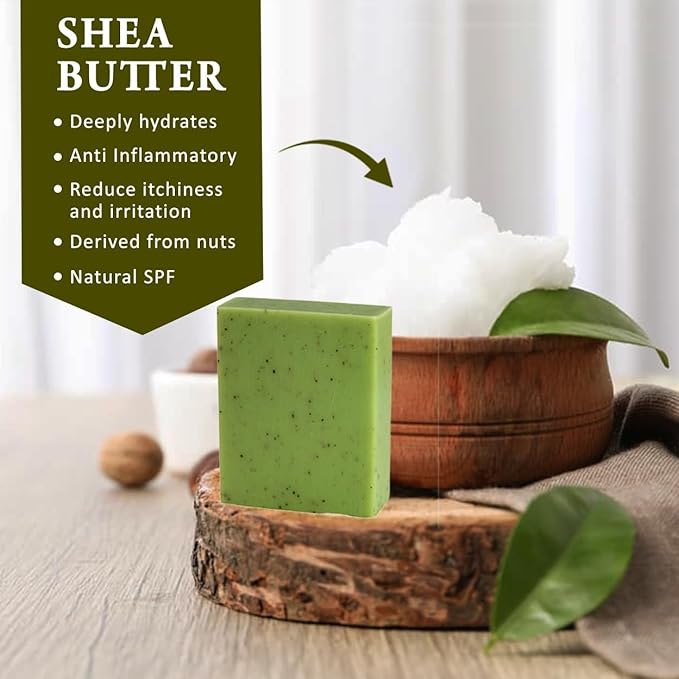 Eucalyptus Scented Natural Soap Bars (5 Bars), 3.5oz Moisturizing French Triple Milled Soap Bars Enriched with Shea Butter - Pure Plant Oil Bath & Body