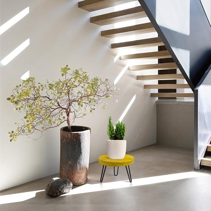 OBTAIN Plant Stand Indoor Outdoor Wood Mid Century Plant Stand for Indoor Plants, Modern Plant Table Round Plant Stool, Boho Rustic Wooden Stool for Plant Pot Hol (L)