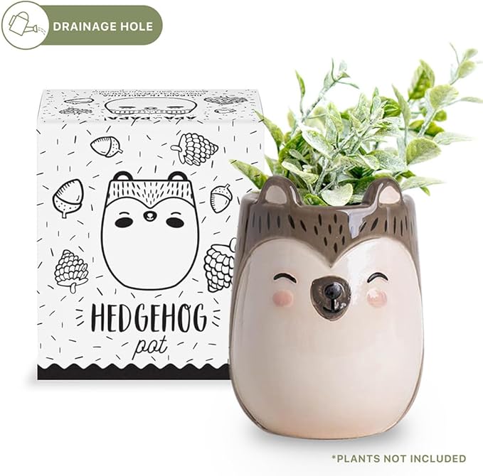 Porcupine Animal Ceramic Planter for Indoor and Outdoors, 3 x 3 x 4 in., Cute Hand Painted Designed in Argentina, Convenient Drain Hole