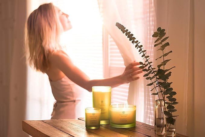 Chesapeake Bay Candle PT40886 Scented Candle, Awaken + Invigorate (Lemongrass Eucalyptus), Medium , Green, Home Décor