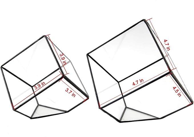 Glass Geometric Plant Terrarium Container, Flower Pot Tabletop Planter Decor Glass Display Box Succulent & Air Planter for Home Garden Office Decoration(Black Cubic Set of 2)