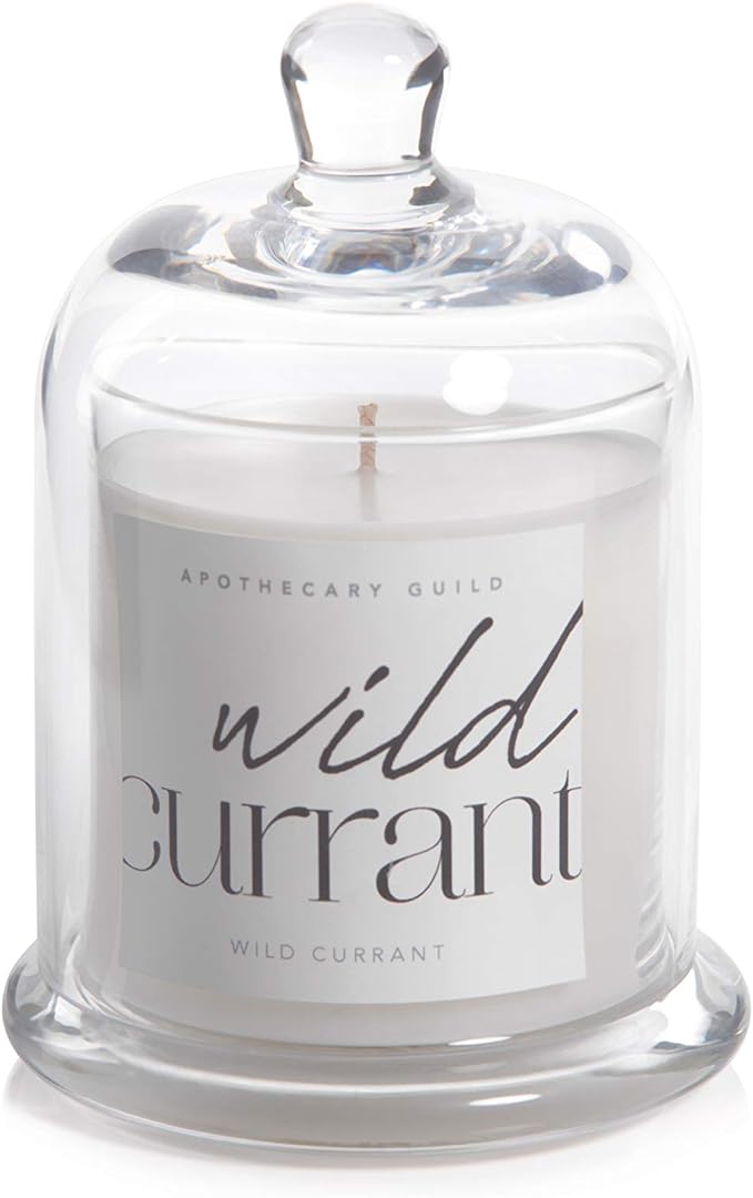 Zodax Wild Currant Apothecary Guild 10 Ounce Scented Jar Candle with Dome