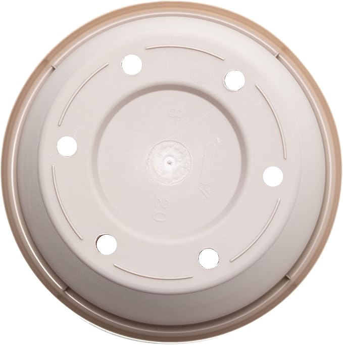 Bloem Terra Pot Planter: 12" - Pebble Stone Beige - Durable Resin Pot, for Indoor and Outdoor Use, Gardening, 3.5 Gallon Capacity, Saucer Sold Separately