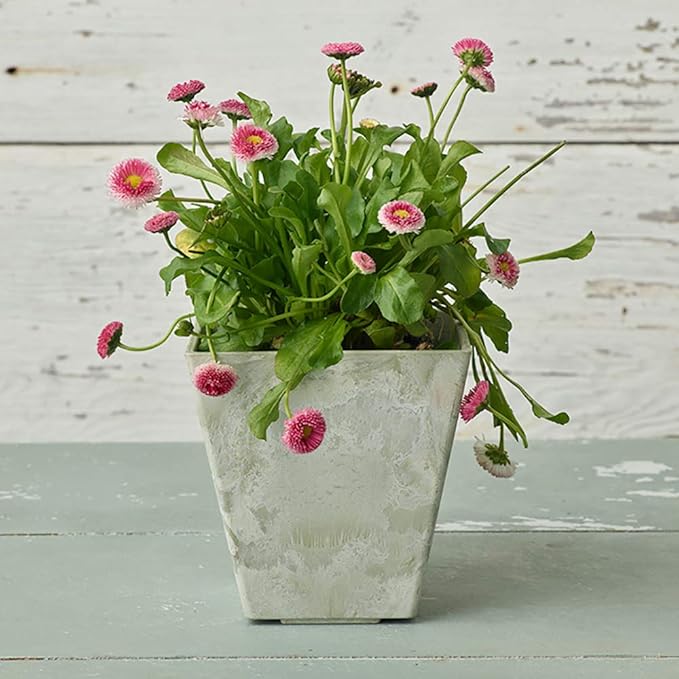 ArtStone 35086 Ella Square Planter, 8-Inch, Mint