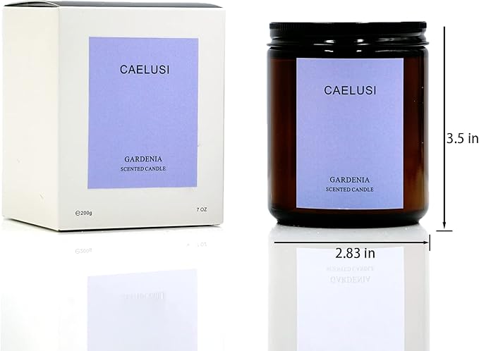 Soy Candles for Home Scented Aromatherapy Candles Natural Soy Wax Candles Gifts for Women/Men Premium Candles with Essential Oils Long Lasting Amber Jar Candles (Lavender Soy Candle 15.9 oz)