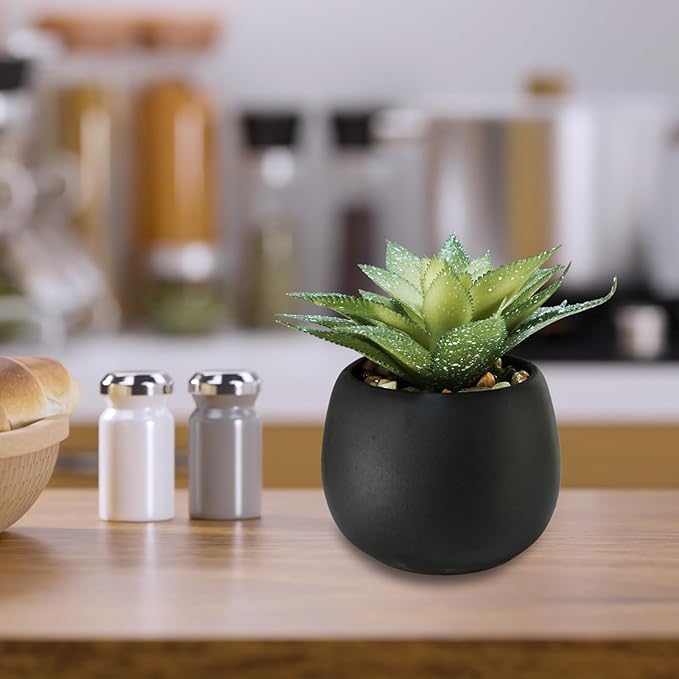 Winlyn Set of 3 Artificial Succulents Plants in Black Cement Planters Faux Potted Plants Aloe String of Pearls Donkey Tail Small House Plants 5" Tall for Table Shelf Home Office Bathroom Living Room