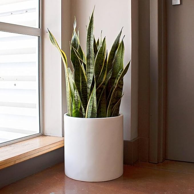 Elly Décor Cylindrical 11.5-inch Pot, White Planter Made of Fiberglass and Hand-Painted, Suitable for Indoor and Outdoor Plants and Flowers, with Drainage Hole and Plug