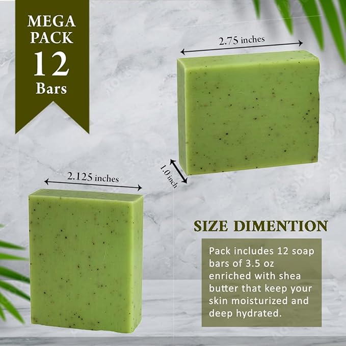 Eucalyptus Scented Natural Soap Bars (12 Bars), 3.5oz Moisturizing French Triple Milled Soap Bars Enriched with Shea Butter - Pure Plant Oil Bath & Body Soap Bars