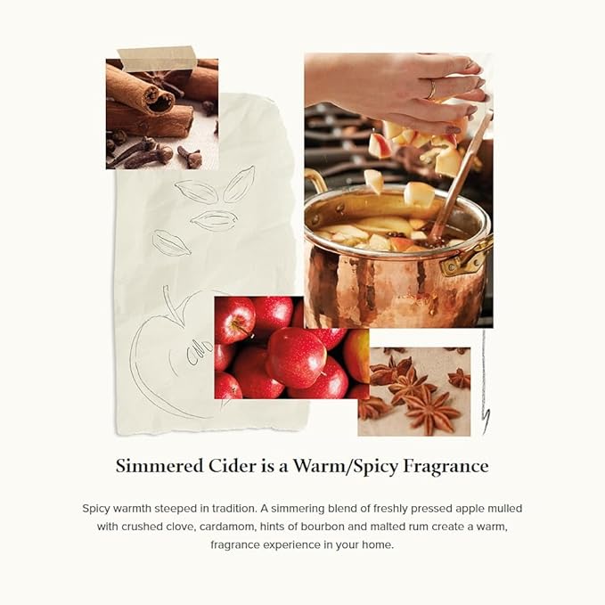 Thymes Simmered Cider Pura Smart Home Plug-in Scent Diffuser Refills - Pack of 2
