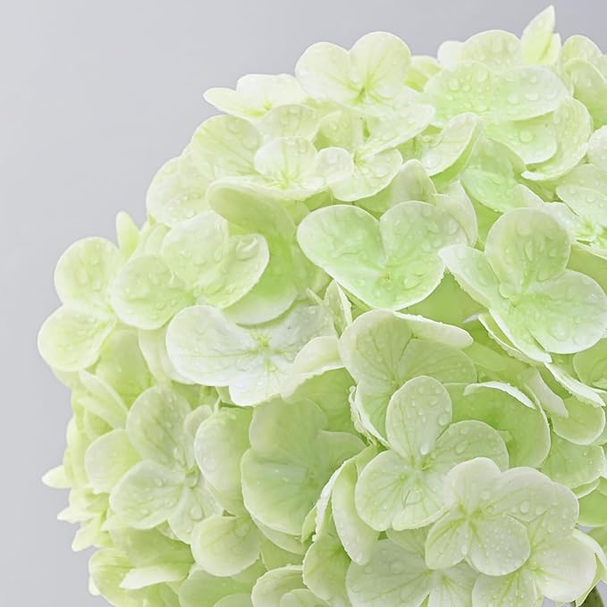 MARTINE MALL 2Pcs 21in Hydrangea Artificial Flowers, Latex Real Touch Hydrangeas Lifelike Large Hydrangea Flowers for Home Decor Party Arrangements Wedding Bouquets Centerpieces (Light Green)