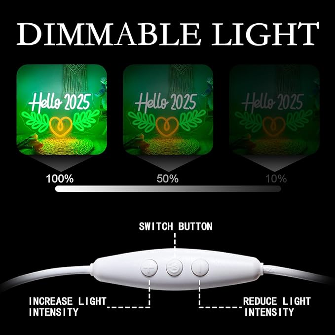 Lucunstar Hello 2025 Neon Sign,Neon Sign 2025,Led Neon Light for Wall Decor,Light Up Sign for Bedroom Decor,Dimmable Switch USB Connectivity Neon Signs for Holiday Party Light,Festival Celebration