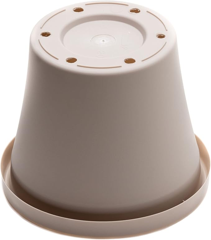 Bloem Terra Pot Planter: 12" - Pebble Stone Beige - Durable Resin Pot, for Indoor and Outdoor Use, Gardening, 3.5 Gallon Capacity, Saucer Sold Separately