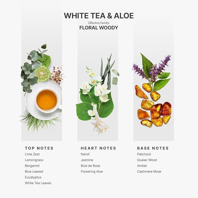 Aromaplan Hotel Scents White Tea & Aloe 5 Fl Oz (148ml), Home Luxury Aroma & Hotel Fragrance Diffuser Oil- Hotel Diffuser Oil for Aromatherapy- USA Made, Bigger Bottle, Bolder Aroma & Longer Lasting
