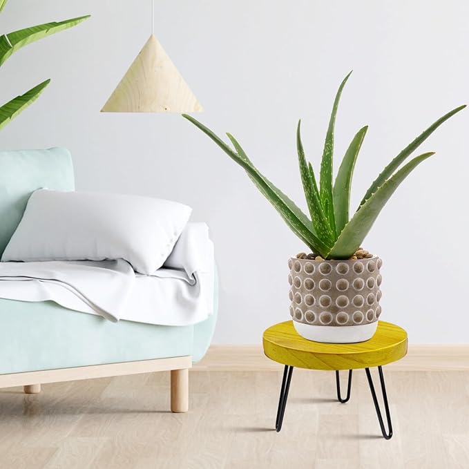 OBTAIN Plant Stand Indoor Outdoor, Wooden plant Stool, Mid Century Plant Stand for Indoor Plants, Wood Modern Plant Holder Rattan Flower, Low Short Boho Rustic Planter Stand Fit 5-15 Inch Pot(M, L)