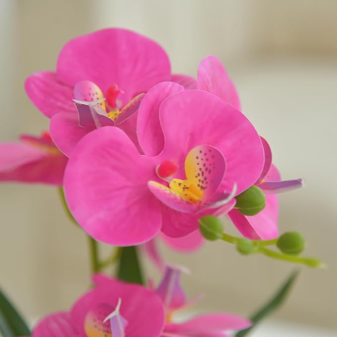 Artificial Real Touch Orchid Flowers in Pot Fake Phalaenopsis Flower with White Ceramic Vase Faux Orchids Arrangement for Home Table Office Wedding Party Decoration (Purple Red)