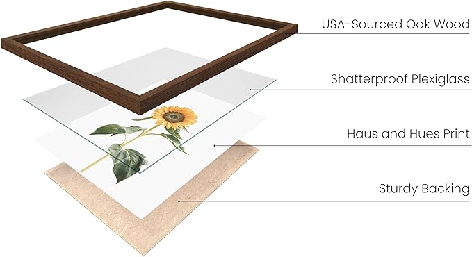 HAUS AND HUES Sunflower Set Collage 16x20 - Framed Walnut