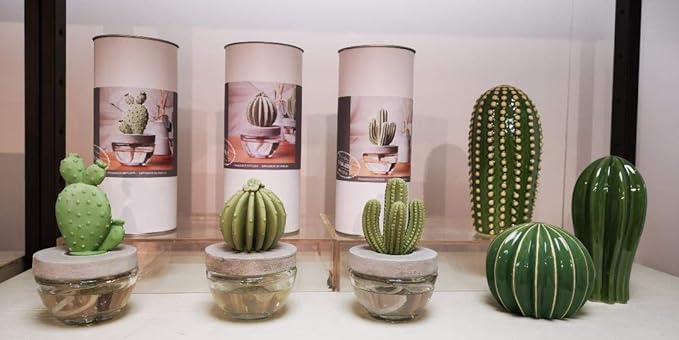 Pretty Valley Home Gypsum Cactus Fragrance Diffuser-Cutting Grass