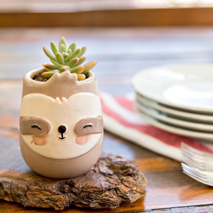 Sloth Animal Ceramic Planter for Indoor and Outdoors, 3 x 3 x 4 in., Cute Hand Painted Designed in Argentina, Convenient Drain Hole