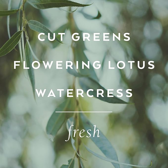 Library of Flowers Willow & Water Bubble Bath, 17 fl. oz. - Cut Greens, Flowering Lotus & Watercress - Relaxing & Gentle Bubble Bath Soap, Hydrating & Deep Moisturizing, Cocoa Butter & Green Tea