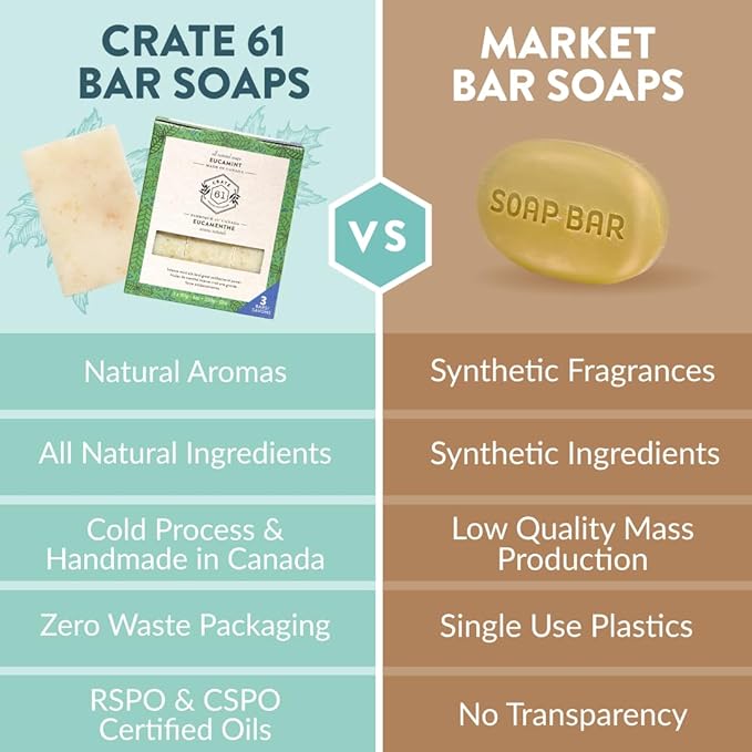 Handmade in Canada, Plant Based Cold Process Natural Bar Soap For Face And Body, With Premium Essential Oils, For Men And Women 3 Pack (Eucamint)