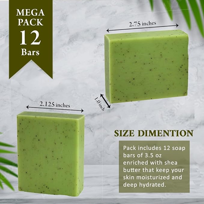 Eucalyptus Scented Natural Soap Bars (5 Bars), 3.5oz Moisturizing French Triple Milled Soap Bars Enriched with Shea Butter - Pure Plant Oil Bath & Body