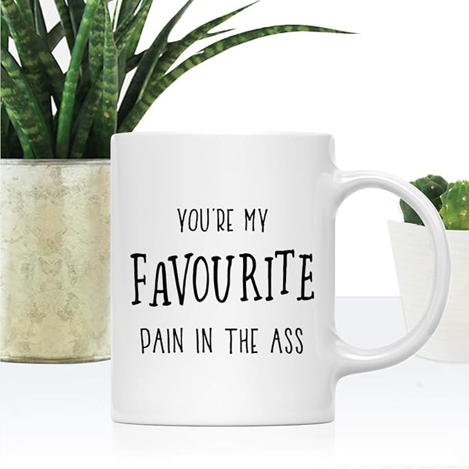 Andaz Press Valentine’s Day Funny 11oz. His Her Couples Coffee Mug Gift, You're My Favourite Pain In the Ass, 1-Pack, Gift Box