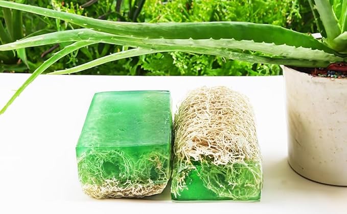 Natural Handmade Aloe Vera Soap Bar With Pumpkin Fiber 120gr | Oil Balance, Dryness, Collagen, Blackheads and Acne, Vitamins C and E, Nourishing, Anti-Aging