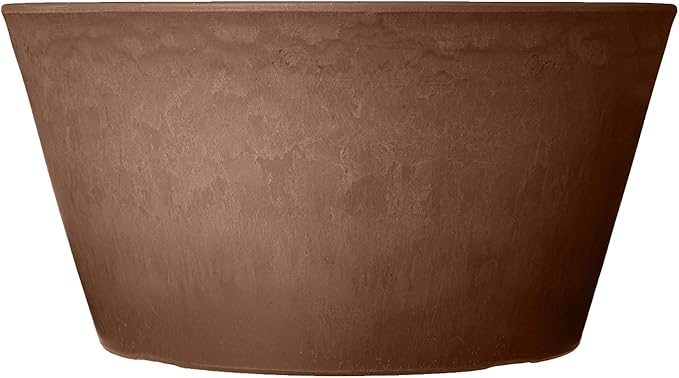 PSW Pot TD25C Collection Shallow Bulb Pan Planter for Succulents, Bonsai, Fairy Gardens, Herbs, 10-inch, Chocolate