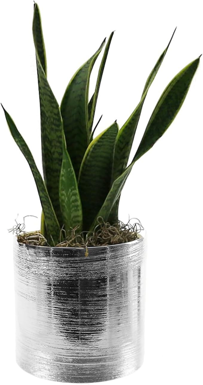 WGVI Silver Etched Ceramic Cylinder Vase Width 5.5" Height 5", Flower Arrangement, Candle Holder, Terrarium Planter Pot, Storage Container Organizer, Pen Brush Holder, Scratched Texture Design, 12 Pc