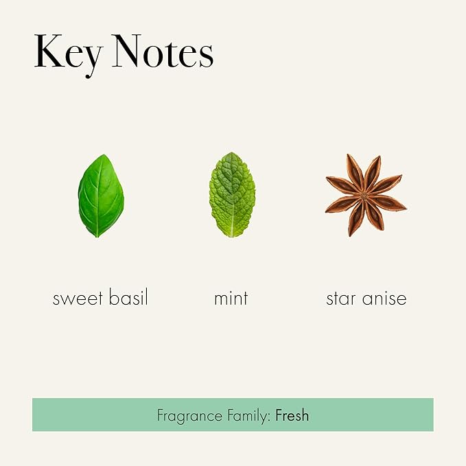 LAFCO New York Reed Diffuser Refill, Mint Tisane - 8.4 oz - Up to 6-Month Fragrance Life - Includes Natural Wood Reeds - Free of Dyes & Propellants - Made in The USA