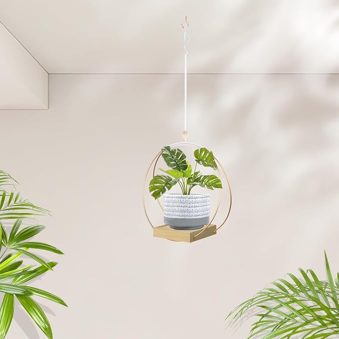 Hanging Planter for Indoor Plants, Plant Hanger with Sturdy Wood Base,Modern Boho Macrame Plant Hanger,Wall Ceiling Window Stands(Plants/Pots Not Included)