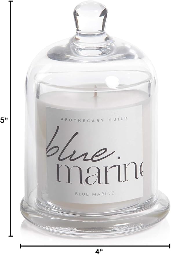 Zodax Blue Marine Apothecary Guild 10 Ounce Scented Jar Candle with Dome