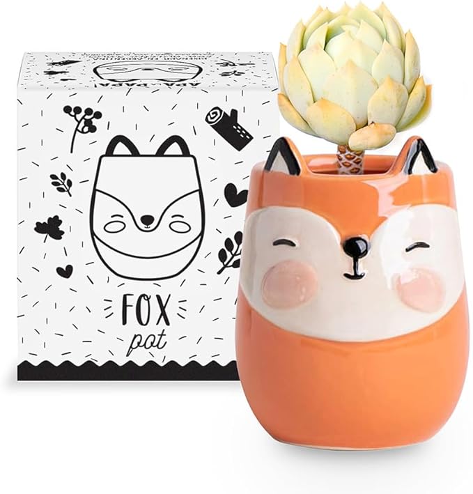 Fox Animal Ceramic Planter for Indoor and Outdoors, 3 x 3 x 4 in., Cute Hand Painted Designed in Argentina, Convenient Drain Hole