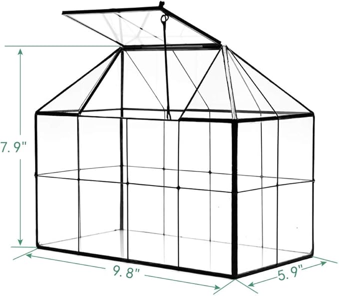 Large Glass Terrarium House Planter – Succulent Plant Terrarium House Shape Glass Greenhouse Terrarium with lid 9.8"X7.9"X5.9" NA