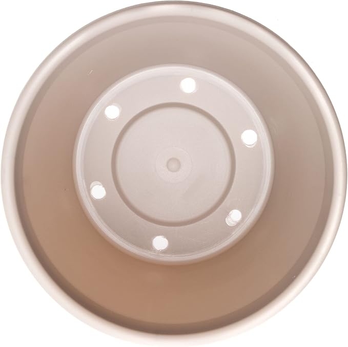 Bloem Terra Pot Planter: 12" - Pebble Stone Beige - Durable Resin Pot, for Indoor and Outdoor Use, Gardening, 3.5 Gallon Capacity, Saucer Sold Separately