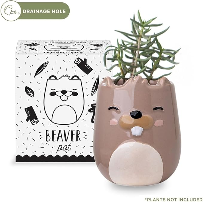 Beaver Animal Ceramic Planter for Indoor and Outdoors, 3 x 3 x 4 in., Cute Hand Painted Designed in Argentina, Convenient Drain Hole