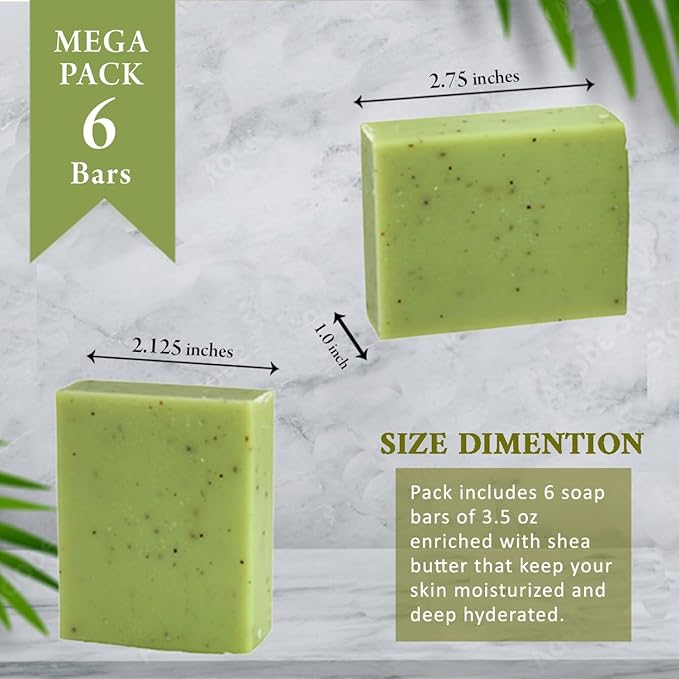 Lemon Myrtle Scented Natural Soap Bars (6 Bars), 3.5oz Moisturizing French Triple Milled Soap Bars Enriched with Shea Butter - Pure Plant Oil Bath & Body Soap Bars