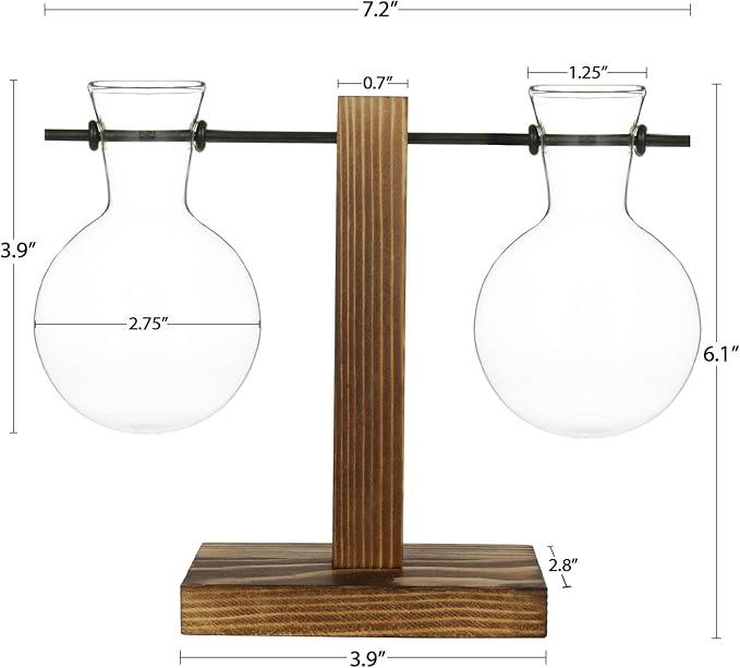 Kingbuy Retro Glass Bulb Vase for Plant Propagation - Hydroponic Planter with Wooden Stand, Indoor Water Propagation Station, Desktop Terrarium Glass Planter for Home Garden Plants (2 Bulb Vases