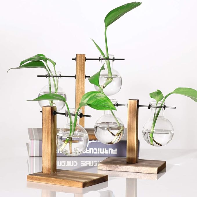 Kingbuy Retro Glass Bulb Vase for Plant Propagation - Hydroponic Planter with Wooden Stand, Indoor Water Propagation Station, Desktop Terrarium Glass Planter for Home Garden Plants (2 Bulb Vases